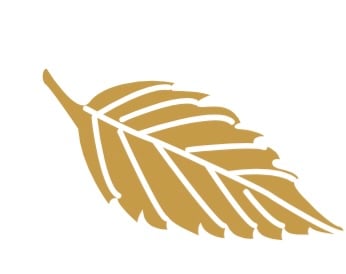 Golden leaf icon with elegant feather-like design and curved segments